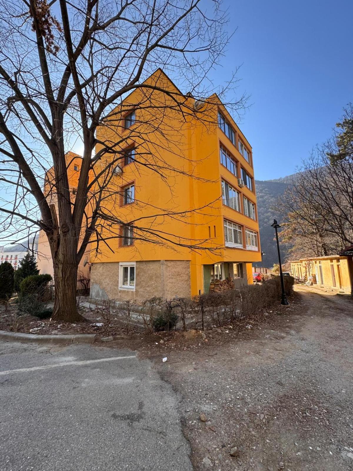 Linen Tree Apartment Băile Herculane Eksteriør bilde